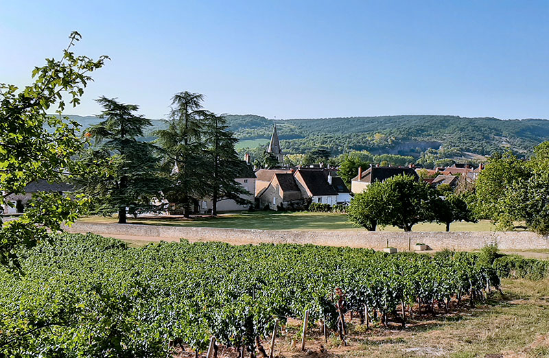 Viticulteur Mercurey 1er cru bio La Chassière